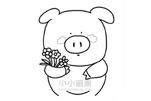 情人节小猪简笔画画法图片步骤步骤5