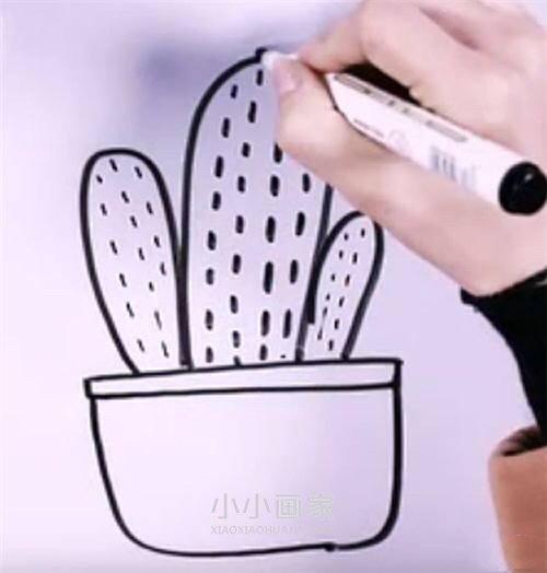 仙人掌盆栽简笔画画法图片步骤步骤5
