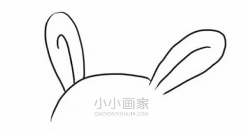 趴地上的可爱兔子简笔画画法图片步骤步骤3