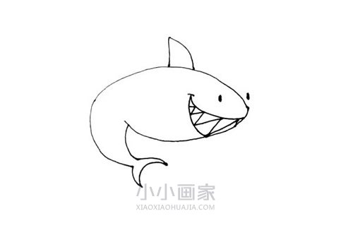 水中鲨鱼简笔画画法图片步骤步骤5