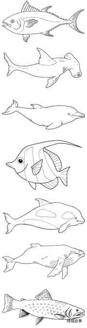 绘本故事各种鱼的画法简单漂亮 鱼简笔画图片