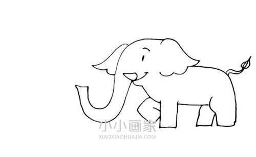 玩水的大象简笔画画法图片步骤步骤6