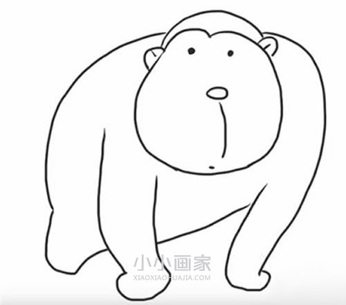 绘本故事黑白大猩猩简笔画画法图片步骤