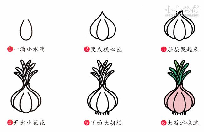 绘本故事彩色大蒜简笔画画法图片步骤