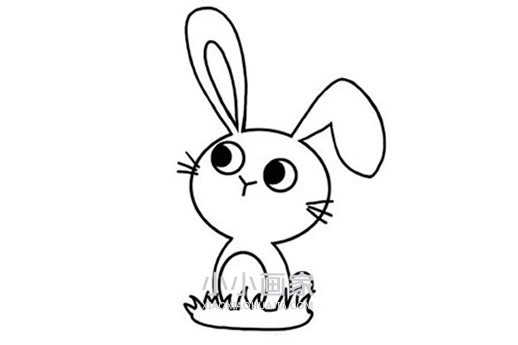 可爱小白兔简笔画画法图片步骤步骤6