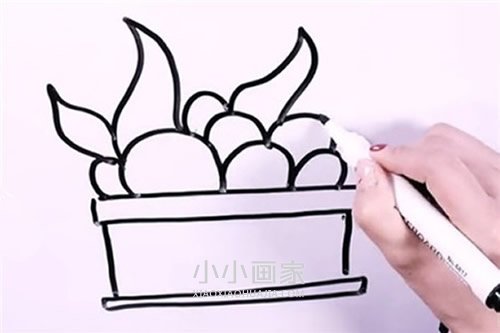 简单盆栽简笔画画法图片步骤步骤5