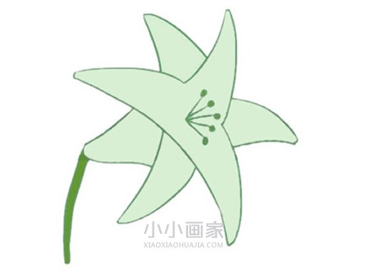 简单百合花简笔画画法图片步骤步骤1