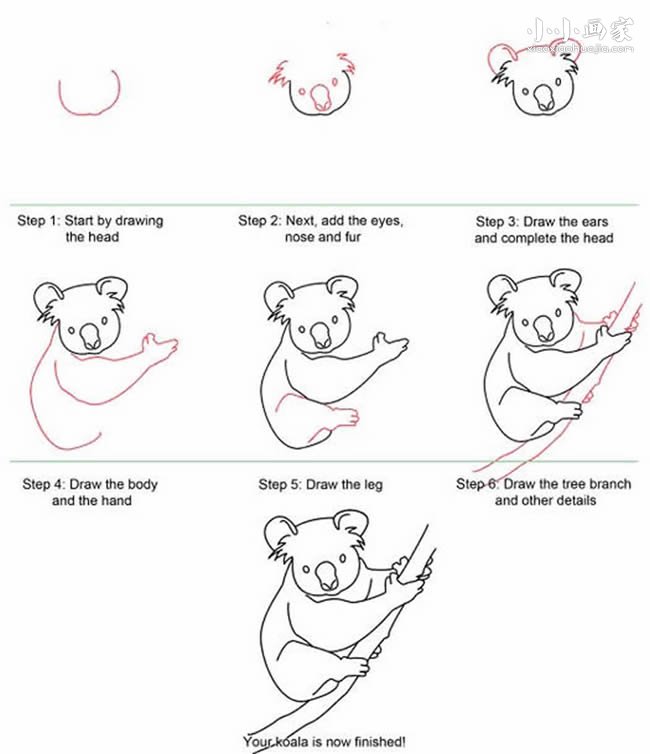 绘本故事树上的考拉简笔画画法图片步