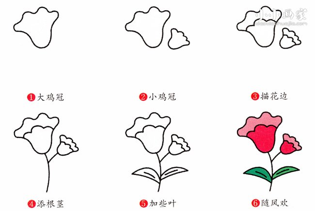 彩色鸡冠花简笔画画法图片步骤