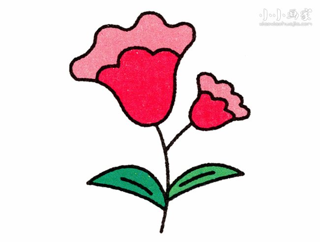 彩色鸡冠花简笔画画法图片步骤步骤1