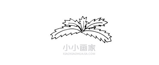 岛上的椰子树简笔画画法图片步骤步骤3