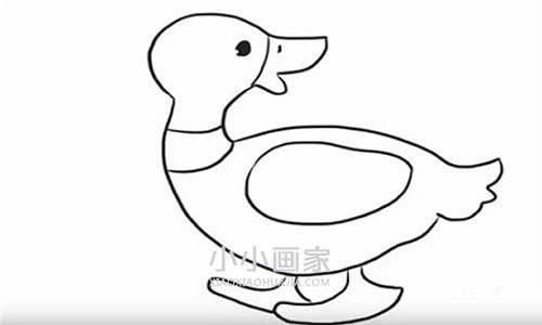 绘本故事回头望的鸭子简笔画画法图片步骤