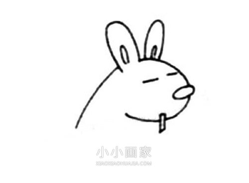 闭眼睛的彩色袋鼠简笔画画法图片步骤步骤3