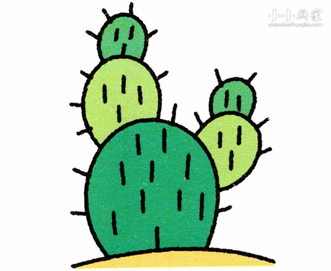 彩色仙人掌简笔画画法图片步骤步骤1