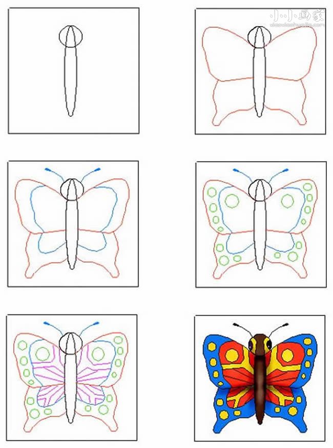 绘本故事美丽的蝴蝶简笔画画法图片步骤