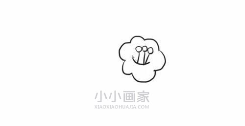 黑白山茶花简笔画画法图片步骤步骤3