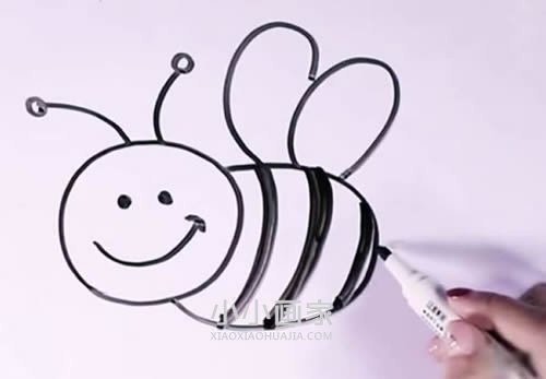 采蜜的蜜蜂简笔画画法图片步骤步骤5
