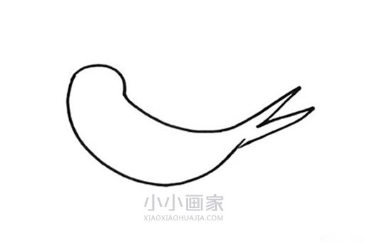 春天小燕子简笔画画法图片步骤步骤3