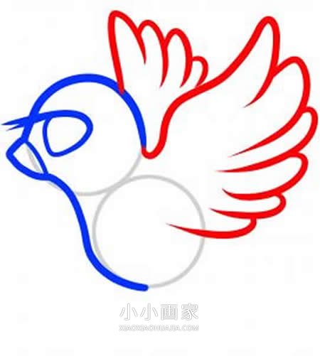 飞翔的和平鸽简笔画画法图片步骤步骤4