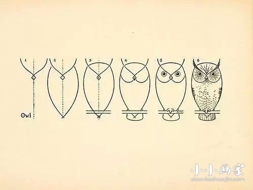 绘本故事正面的猫头鹰简笔画画法图片步骤