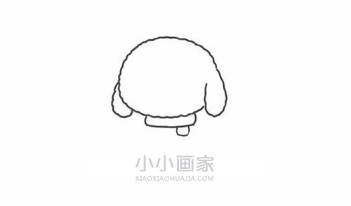 彩色小泰迪简笔画画法图片步骤步骤3