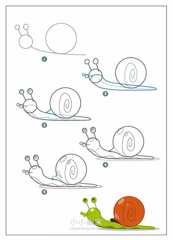 绘本故事彩色蜗牛简笔画画法图片步骤