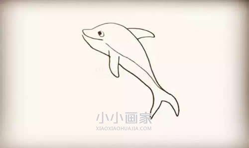 跃出水的海豚简笔画画法图片步骤步骤6