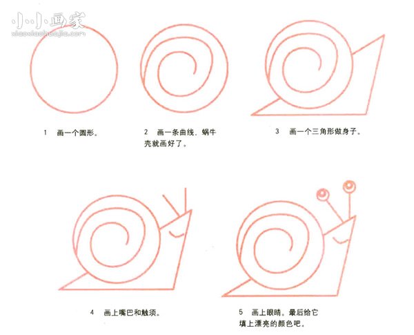 绘本故事脸带笑容的蜗牛简笔画画法图片步骤