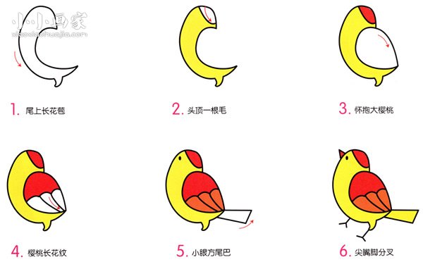 可爱黄雀简笔画画法图片步骤步骤2