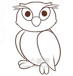 绘本故事可爱猫头鹰简笔画画法图片步骤