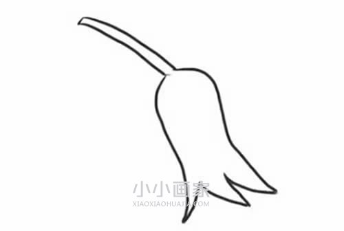 两只茄子简笔画画法图片步骤步骤3