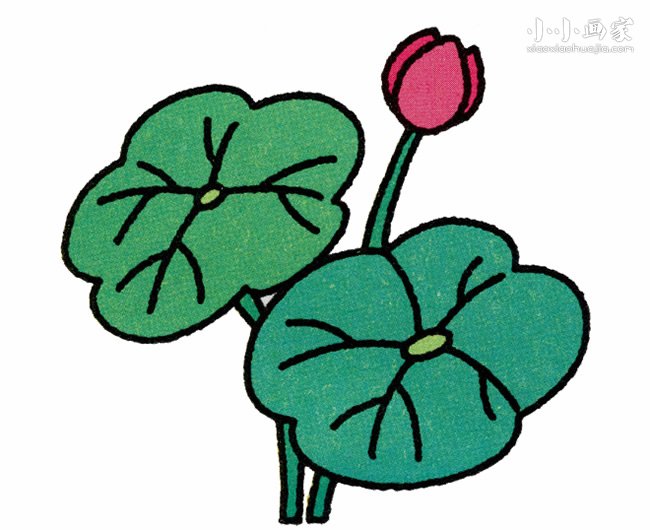美丽荷花简笔画画法图片步骤步骤1