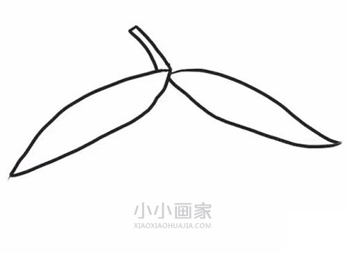 彩色芒果简笔画画法图片步骤步骤4