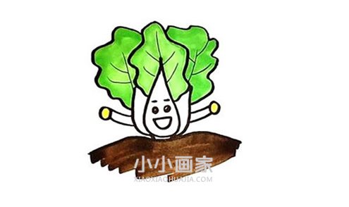 卡通大白菜简笔画画法图片步骤