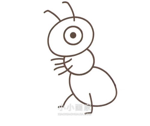 彩色小蚂蚁简笔画画法图片步骤步骤6