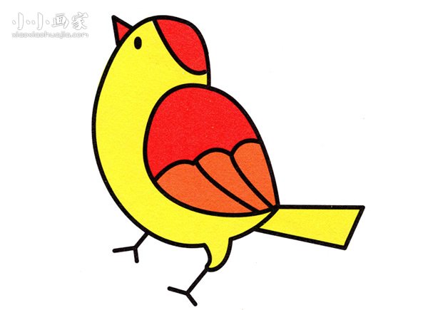 可爱黄雀简笔画画法图片步骤步骤1