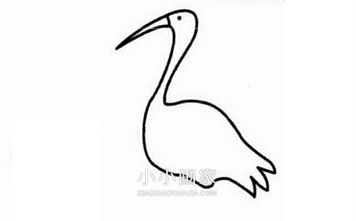 简单丹顶鹤简笔画画法图片步骤步骤1