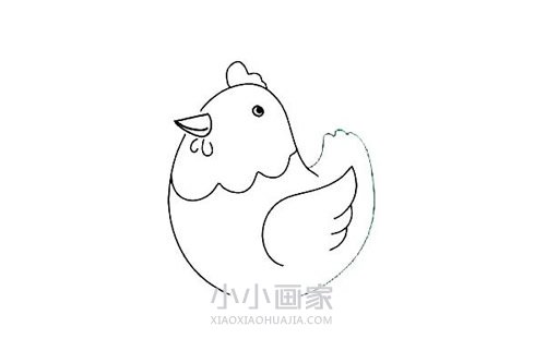 彩色胖母鸡简笔画画法图片步骤步骤5