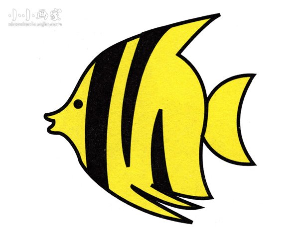 漂亮热带鱼简笔画画法图片步骤步骤1
