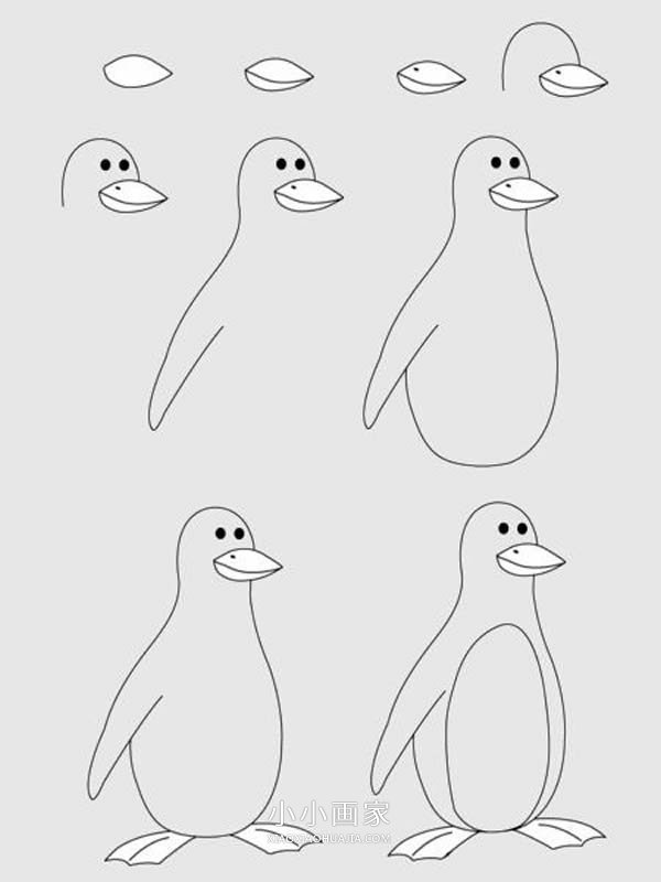 绘本故事简单企鹅简笔画画法图片步骤