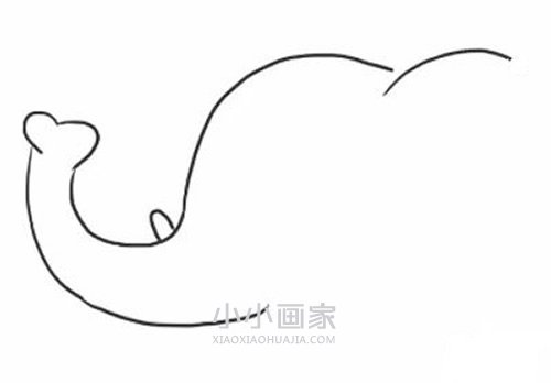 奔跑的卡通大象简笔画画法图片步骤步骤3