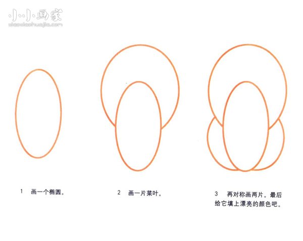 简单青菜简笔画画法图片步骤