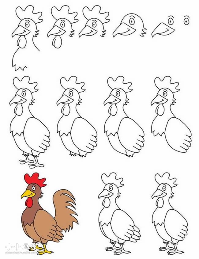 绘本故事超详细站立大公鸡简笔画画法图片步骤