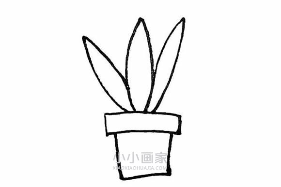 彩色虎皮兰简笔画画法图片步骤步骤5