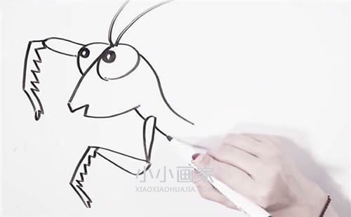 可爱螳螂简笔画画法图片步骤步骤4