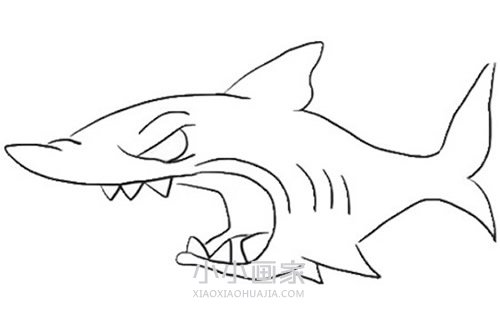 绘本故事可怕的鲨鱼简笔画画法图片步骤
