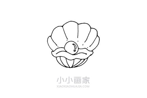 珍珠贝壳简笔画画法图片步骤步骤5