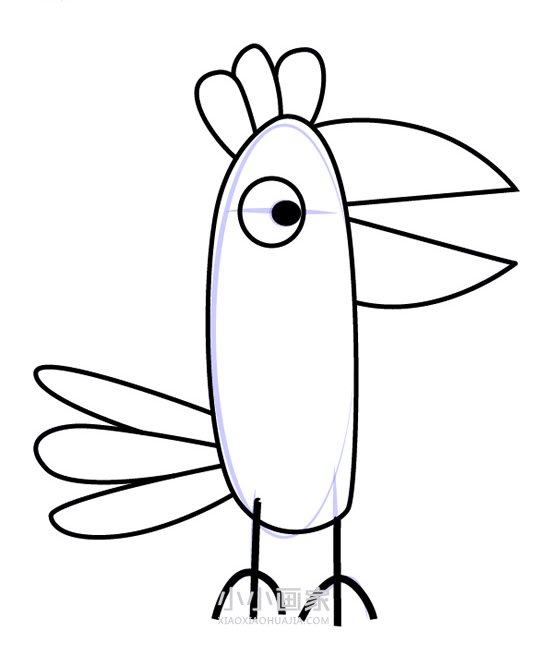 鹦鹉波利简笔画画法图片步骤