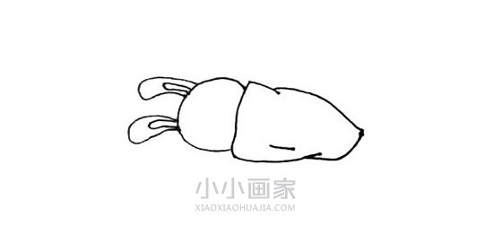 睡在月亮上的兔子简笔画画法图片步骤步骤4