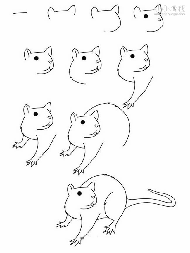 绘本故事逼真大老鼠简笔画画法图片步骤